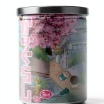 Japanese Humor Book: かぴぐらし3rd-0